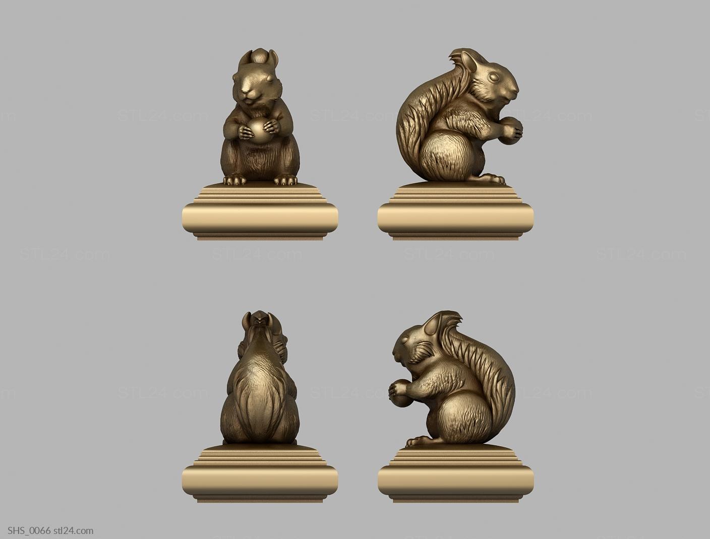 STL file Pistachio squirrel container with double bottom for shells 🏺・3D  printing template to download・Cults