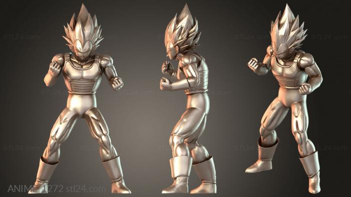 Vegeta Dragon Ball Combat