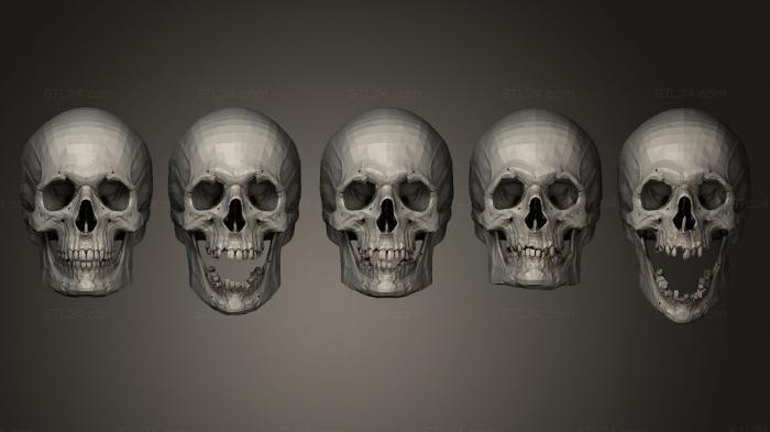 Various Male Skulls low and highpoly