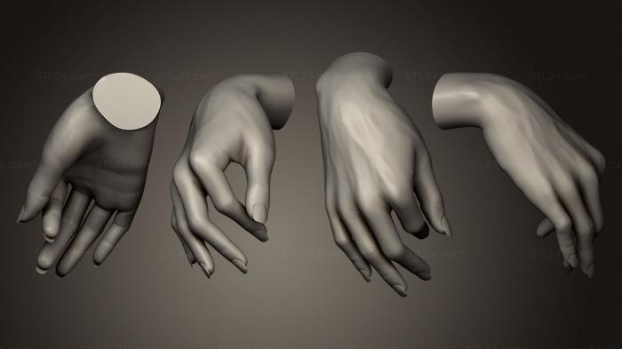 Анатомия скелеты и черепа (Женская Ручная Скульптура 2, ANTM_0082) 3D модель для ЧПУ станка