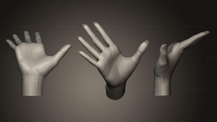Анатомия скелеты и черепа (Женская Ручная Скульптура 3, ANTM_0083) 3D модель для ЧПУ станка