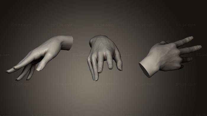 Anatomy of skeletons and skulls (Female Hand Sculpt 4, ANTM_0084) 3D models for cnc