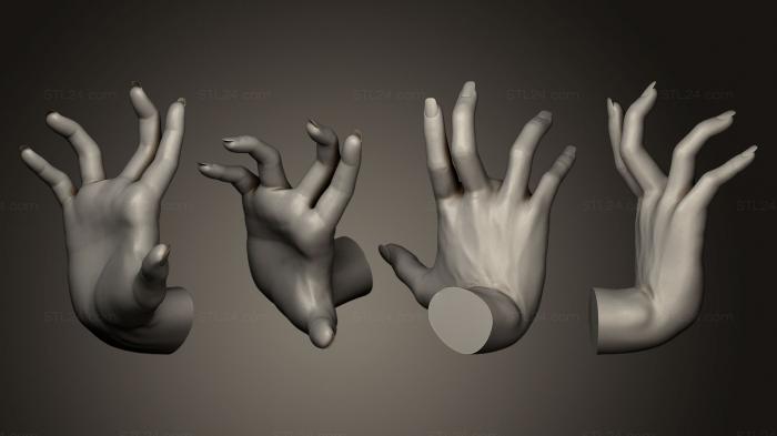 Anatomy of skeletons and skulls (Female Hand Sculpt 7, ANTM_0087) 3D models for cnc
