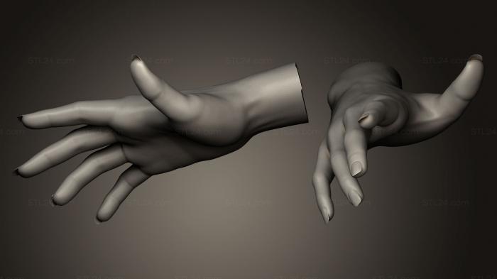 Female Hand Sculpt 11