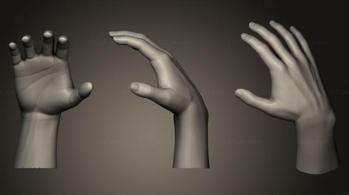 Anatomy of skeletons and skulls (Female Hand Sculpt 21, ANTM_0100) 3D models for cnc