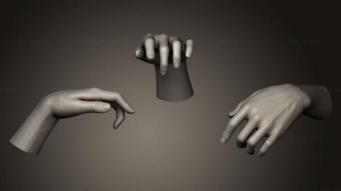 Anatomy of skeletons and skulls (Female Hand Sculpt 24, ANTM_0102) 3D models for cnc