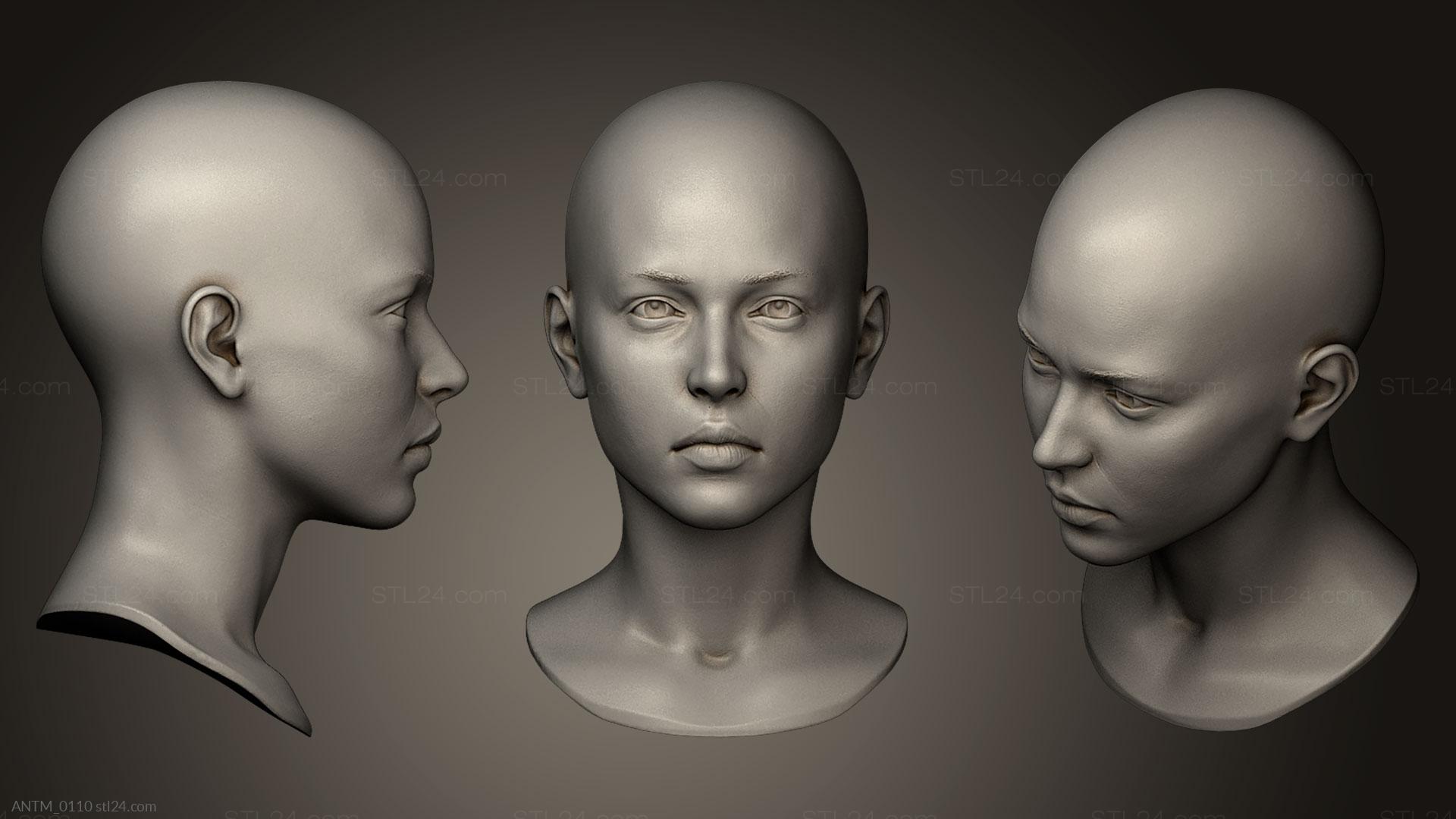Anatomy of skeletons and skulls - Female Head 9, ANTM_0110. 3D stl