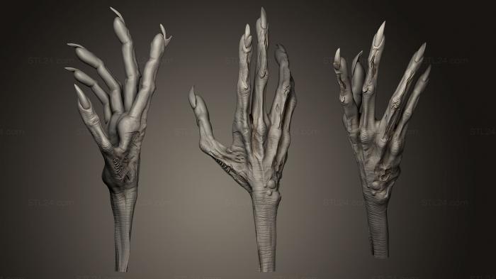 Anatomy of skeletons and skulls (Humanoid Monster Hand 6, ANTM_0152) 3D models for cnc