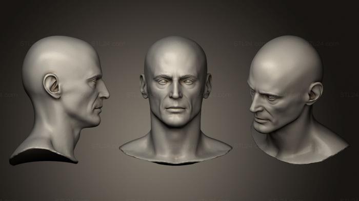 Анатомия скелеты и черепа (Скульптура мужской Головы 03, ANTM_0158) 3D модель для ЧПУ станка