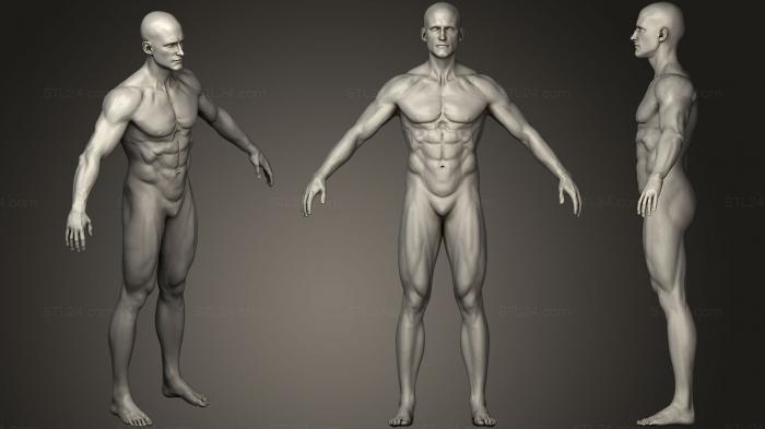Anatomy of skeletons and skulls (Anatomy correct male base 2, ANTM_0209) 3D models for cnc