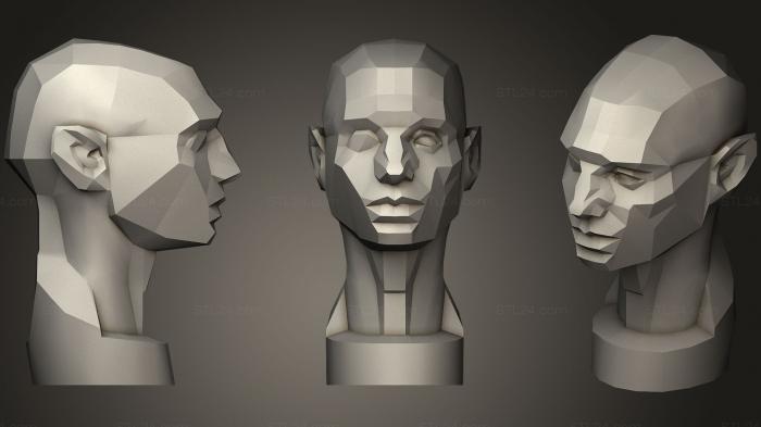 Anatomy of skeletons and skulls (Asaro Planes of the Head Low Poly, ANTM_0256) 3D models for cnc