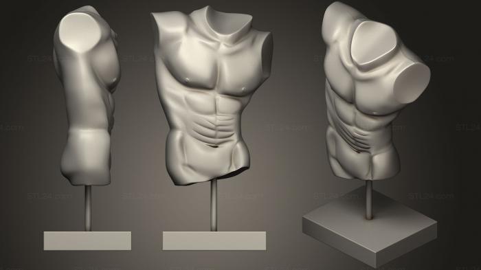 Anatomy of skeletons and skulls (Body Sculpture Apollo, ANTM_0316) 3D models for cnc
