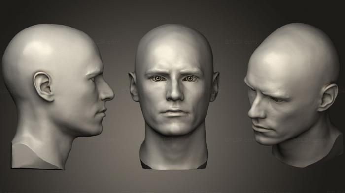 Анатомия скелеты и черепа (Сканирование головы взрослого кавказского мужчины, ANTM_0340) 3D модель для ЧПУ станка