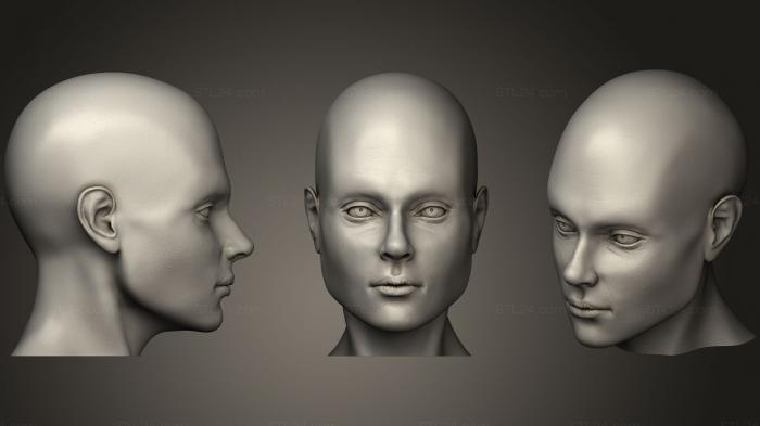 Анатомия скелеты и черепа (Белая Женская голова, ANTM_0341) 3D модель для ЧПУ станка