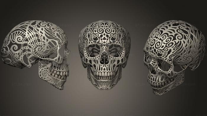 Анатомия скелеты и черепа (Филигранная Анатомическая черепная коробка, ANTM_0367) 3D модель для ЧПУ станка