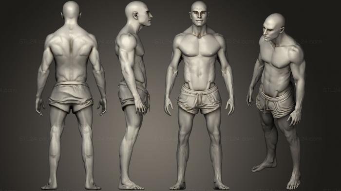 Anatomy of skeletons and skulls (Different Heights of Human Body, ANTM_0385) 3D models for cnc