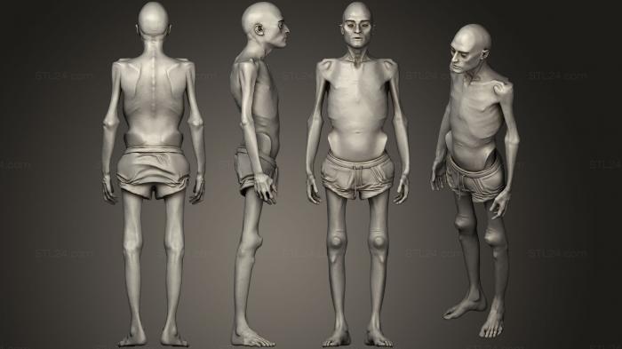 Anatomy of skeletons and skulls (Different Heights of Human Body4, ANTM_0386) 3D models for cnc