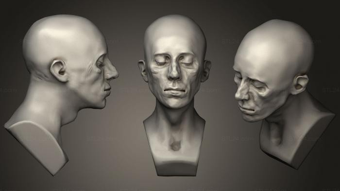 Анатомия скелеты и черепа (Цифровая глиняная скульптура, ANTM_0387) 3D модель для ЧПУ станка