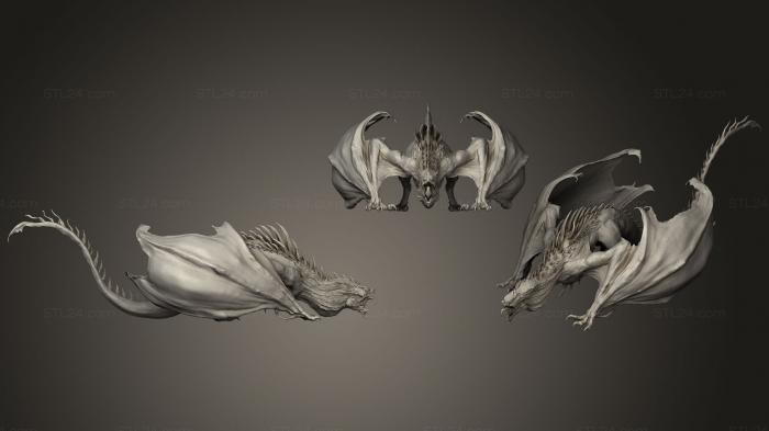 Anatomy of skeletons and skulls (Dragon Concept Sculpt, ANTM_0394) 3D models for cnc
