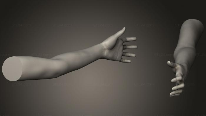 Анатомия скелеты и черепа (Поза женской руки 2010, ANTM_0440) 3D модель для ЧПУ станка