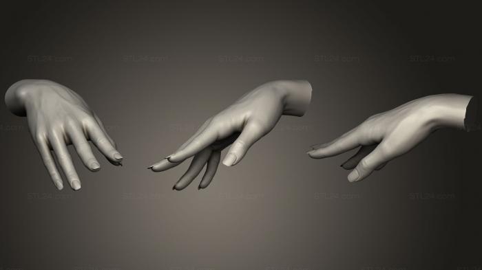Anatomy of skeletons and skulls (Female Hand Sculpt 4, ANTM_0452) 3D models for cnc