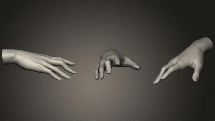 Anatomy of skeletons and skulls (Female Hand Sculpt 5, ANTM_0453) 3D models for cnc