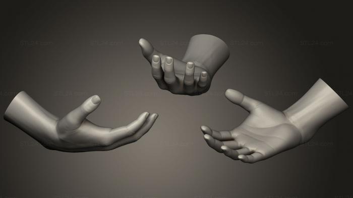 Anatomy of skeletons and skulls (Female Hand Sculpt 21, ANTM_0468) 3D models for cnc
