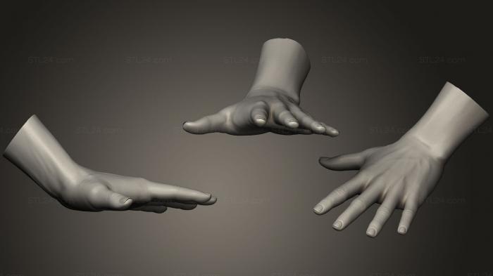 Anatomy of skeletons and skulls (Female Hand Sculpt 23, ANTM_0470) 3D models for cnc