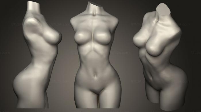 Anatomy of skeletons and skulls (Female Torse Vase Mode, ANTM_0524) 3D models for cnc