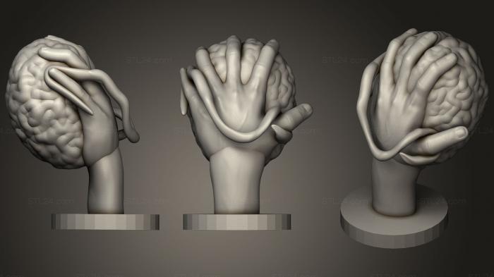Anatomy of skeletons and skulls (Hand Sculpture (With A Brain On It), ANTM_0616) 3D models for cnc