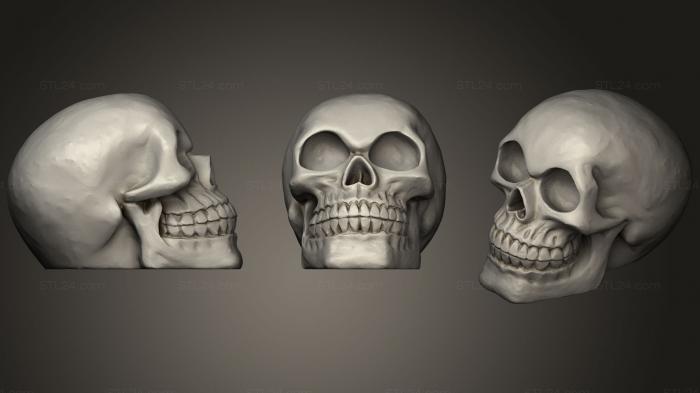 Anatomy of skeletons and skulls (Hollow celtic Skull, ANTM_0659) 3D models for cnc