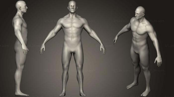 Анатомия скелеты и черепа (Основание человеческого тела 20k Poly7, ANTM_0674) 3D модель для ЧПУ станка