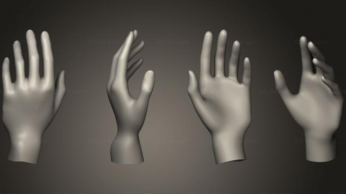 Анатомия скелеты и черепа (Ручной пакет для человеческого тела, ANTM_0678) 3D модель для ЧПУ станка