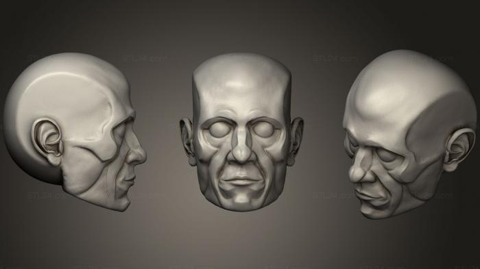 Анатомия скелеты и черепа (Лепка Основания Человеческой Мужской Головы, ANTM_0705) 3D модель для ЧПУ станка