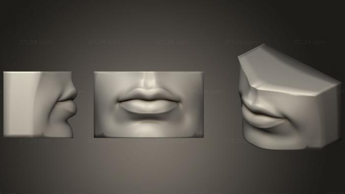 Анатомия скелеты и черепа (Человеческий рот Глаза и Нос Ссылка 1, ANTM_0713) 3D модель для ЧПУ станка