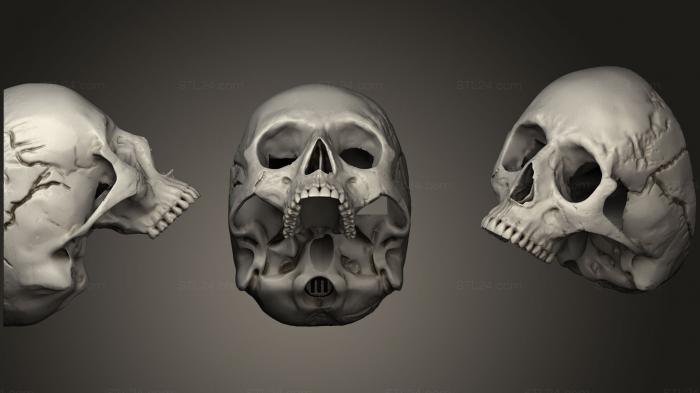 Anatomy of skeletons and skulls (Human Skull For Adafruit Hallowing + Pir, ANTM_0724) 3D models for cnc