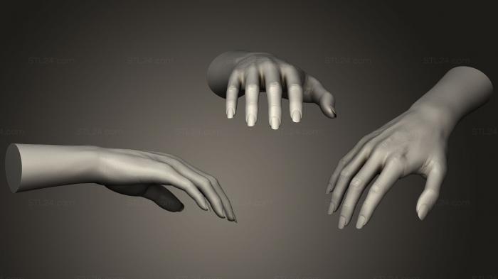 Anatomy of skeletons and skulls (Humanoid Female Hand 7, ANTM_0731) 3D models for cnc