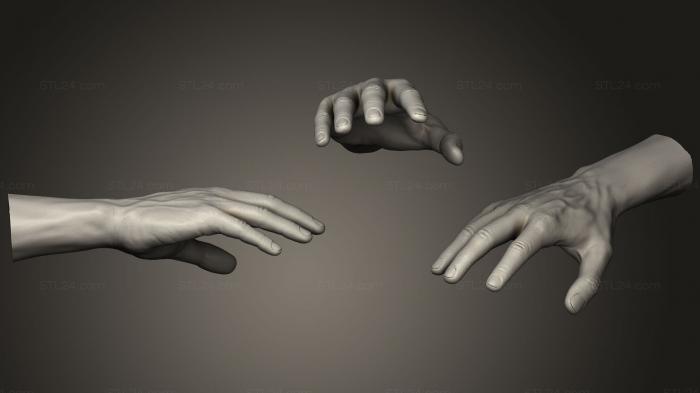 Humanoid Male Hand 8