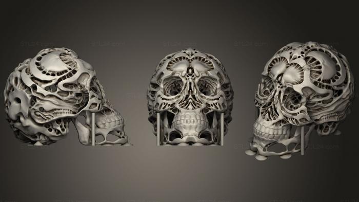 Anatomy of skeletons and skulls (Hunter Skull Hd (With Supports), ANTM_0737) 3D models for cnc