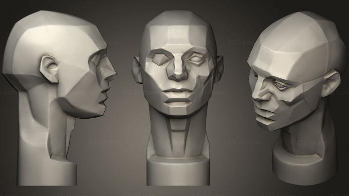 Анатомия скелеты и черепа (Коллекция Джона Азаро3, ANTM_0745) 3D модель для ЧПУ станка