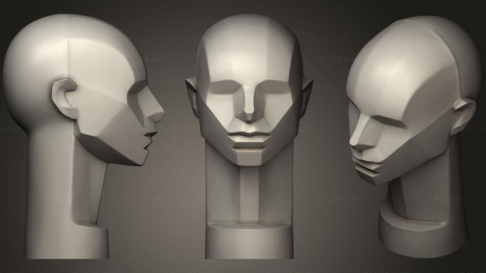 Анатомия скелеты и черепа (Коллекция Джона Азаро4, ANTM_0746) 3D модель для ЧПУ станка