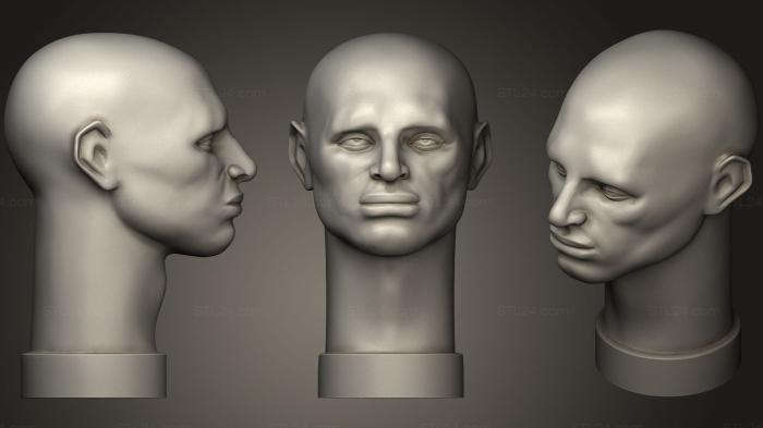 Анатомия скелеты и черепа (Коллекция Джона Азаро5, ANTM_0747) 3D модель для ЧПУ станка