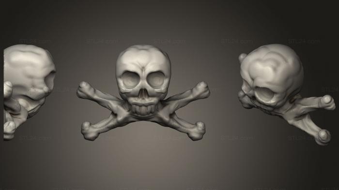 Анатомия скелеты и черепа (Череп пирата Веселого Роджера, ANTM_0748) 3D модель для ЧПУ станка