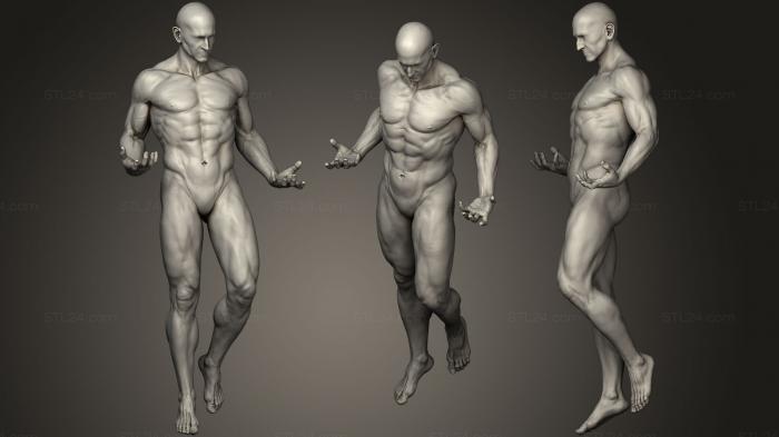 Анатомия скелеты и черепа (Мужская скульптура всего тела 1, ANTM_0798) 3D модель для ЧПУ станка