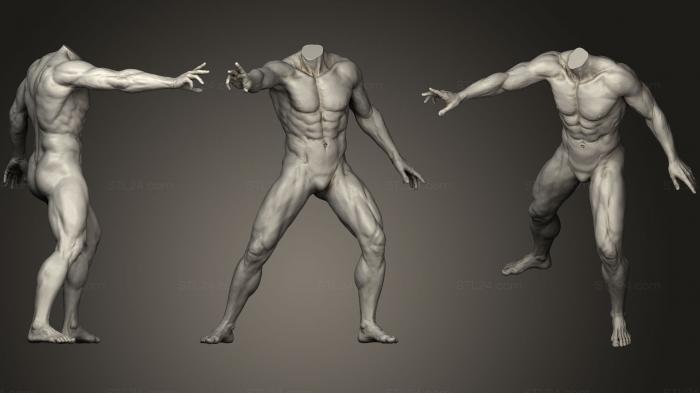 Анатомия скелеты и черепа (Мужская скульптура всего тела 2, ANTM_0799) 3D модель для ЧПУ станка