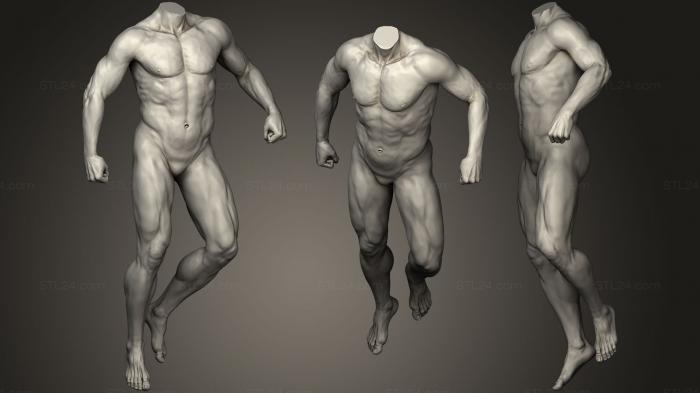 Анатомия скелеты и черепа (Мужская скульптура всего тела 4, ANTM_0801) 3D модель для ЧПУ станка