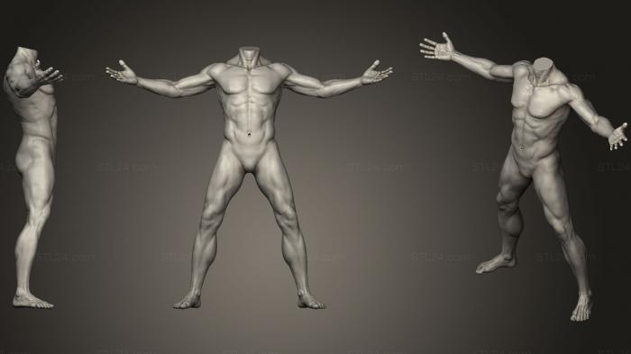 Анатомия скелеты и черепа (Мужская скульптура всего тела 11, ANTM_0808) 3D модель для ЧПУ станка