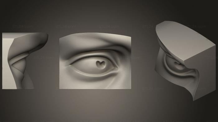 Анатомия скелеты и черепа (Глаз Микеланджело Давида, ANTM_0897) 3D модель для ЧПУ станка