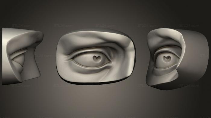 Anatomy of skeletons and skulls (Michelangelo Davids eye 2, ANTM_0898) 3D models for cnc