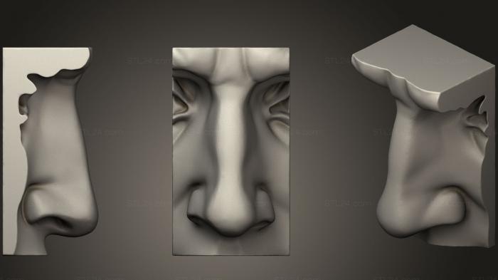 Anatomy of skeletons and skulls (Michelangelos david nose, ANTM_0902) 3D models for cnc